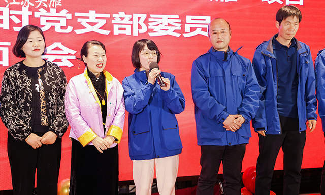 头雁行动