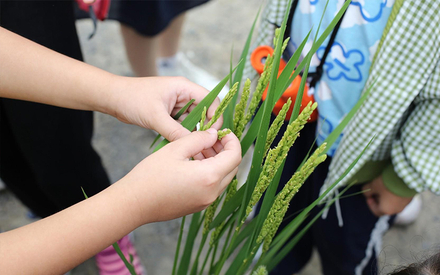 稻花香里说丰年